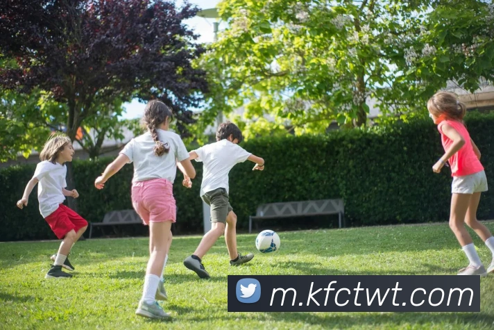 多彩内容专区